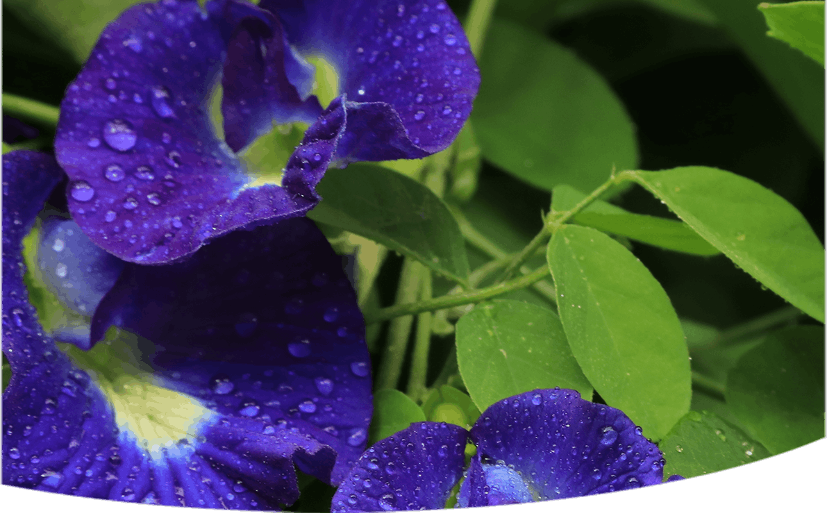 cosmetic & Care Building