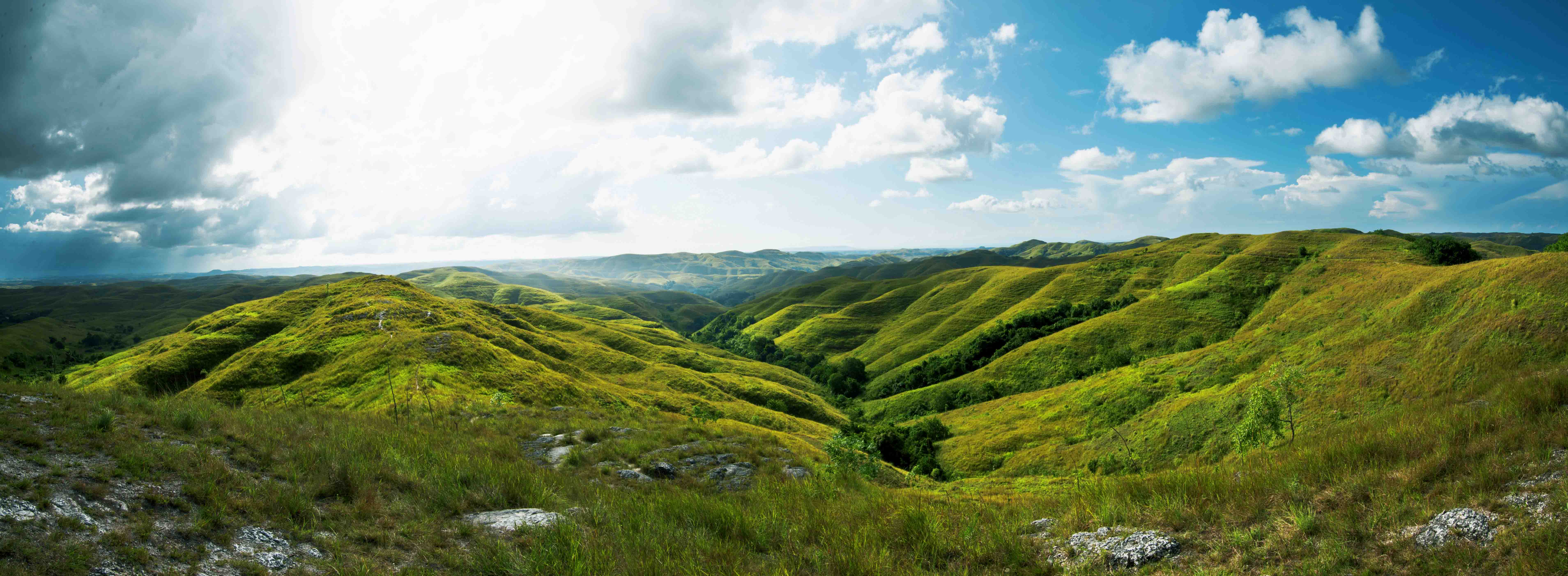 Our Patchouli Origin - Sumba
