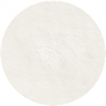 Coconut Milk Powder Fat 50